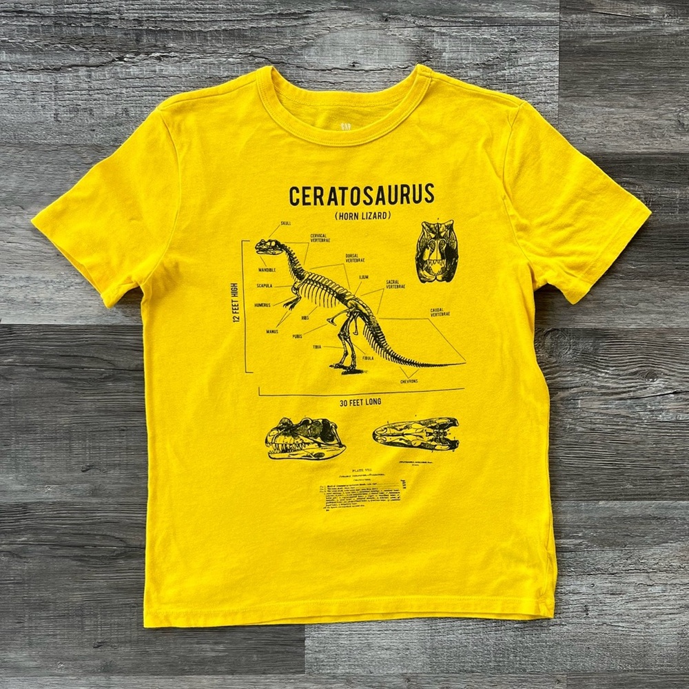 GAP Boys Dinosaur T-shirt. Size Large. Yellow.